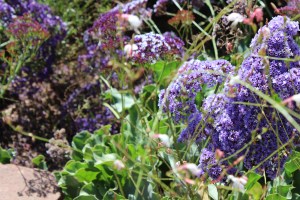San Juan Capistrano Mission, California